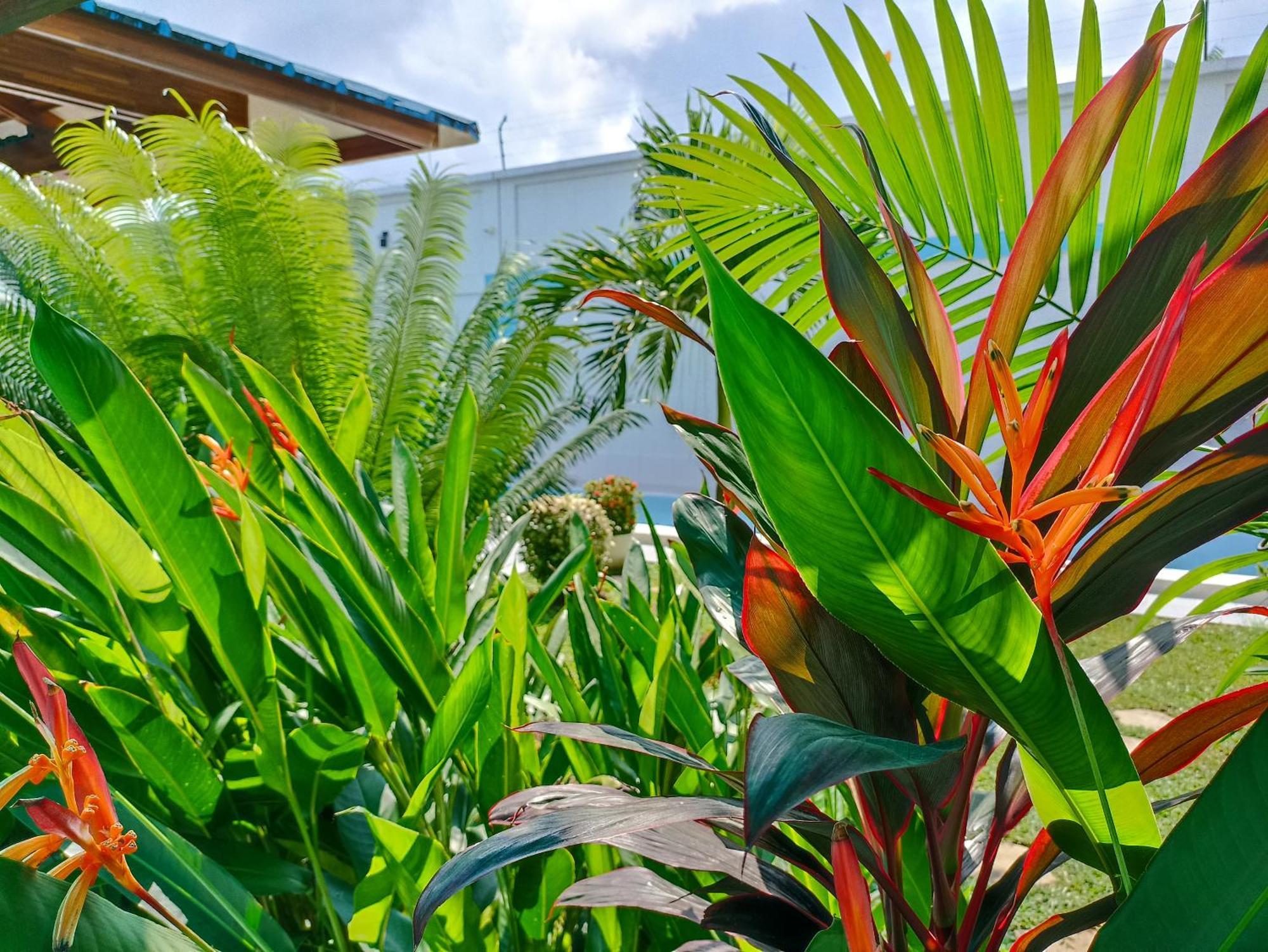 Morona Flats & Pool - 70 M2 Apartment Iquitos Luaran gambar